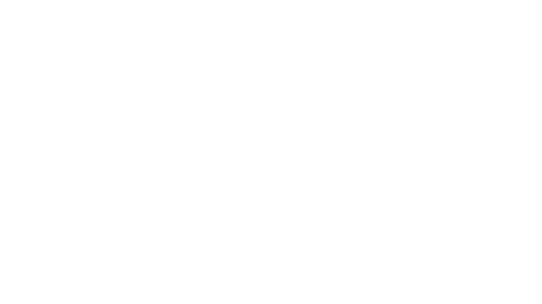 the ritz-carlton